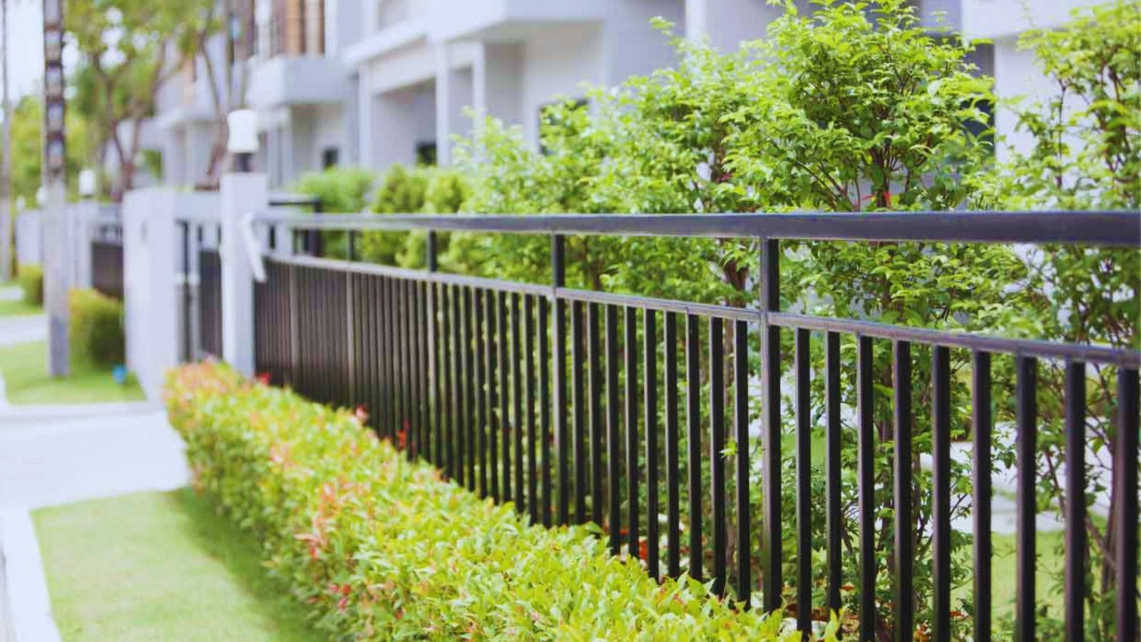 A black metal fence runs alongside neatly trimmed green hedges and bushes on a sunny day, with modern houses blurred in the background, conveying a serene neighborhood setting.