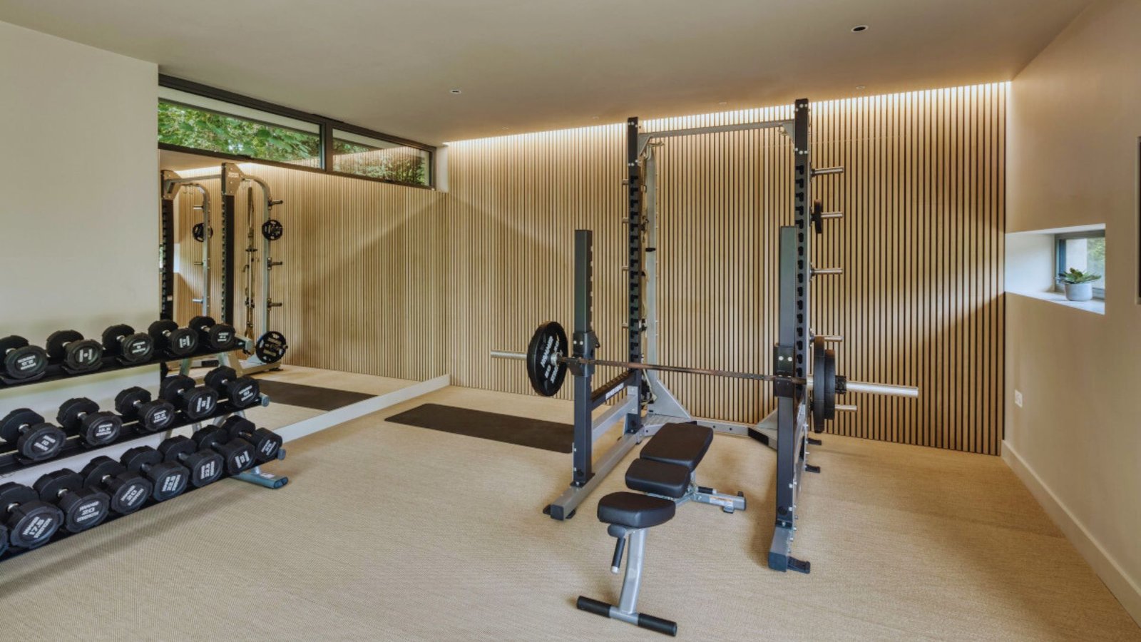 A well-equipped gym room showcasing multiple weights and dumbbells for strength training.