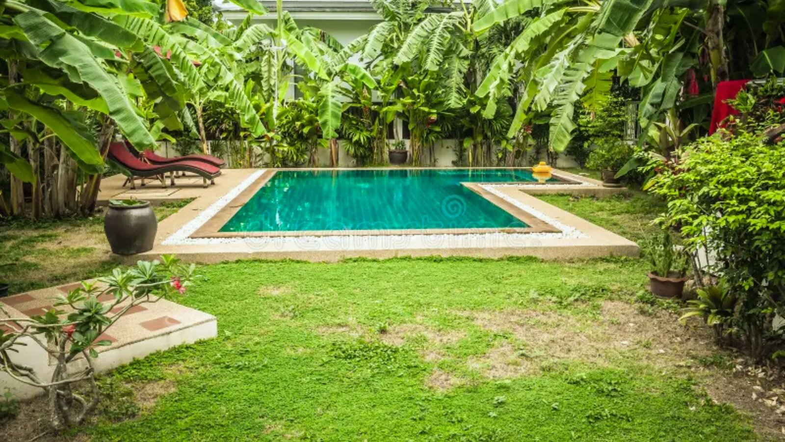 A small pool nestled among vibrant green grass and trees, creating a serene outdoor oasis.